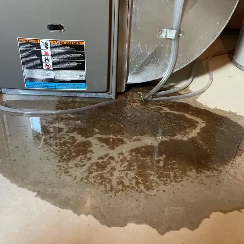 Appliance Leak Cleanup in Crest, CA